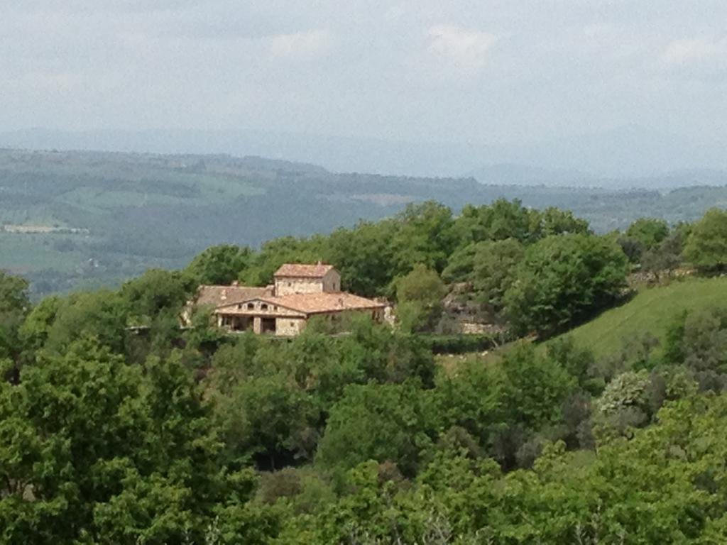 Luxury Villa Colle Dell'Asinello ,Proprietari ,Villa In Esclusiva Near Orvieto 구아르데아 객실 사진