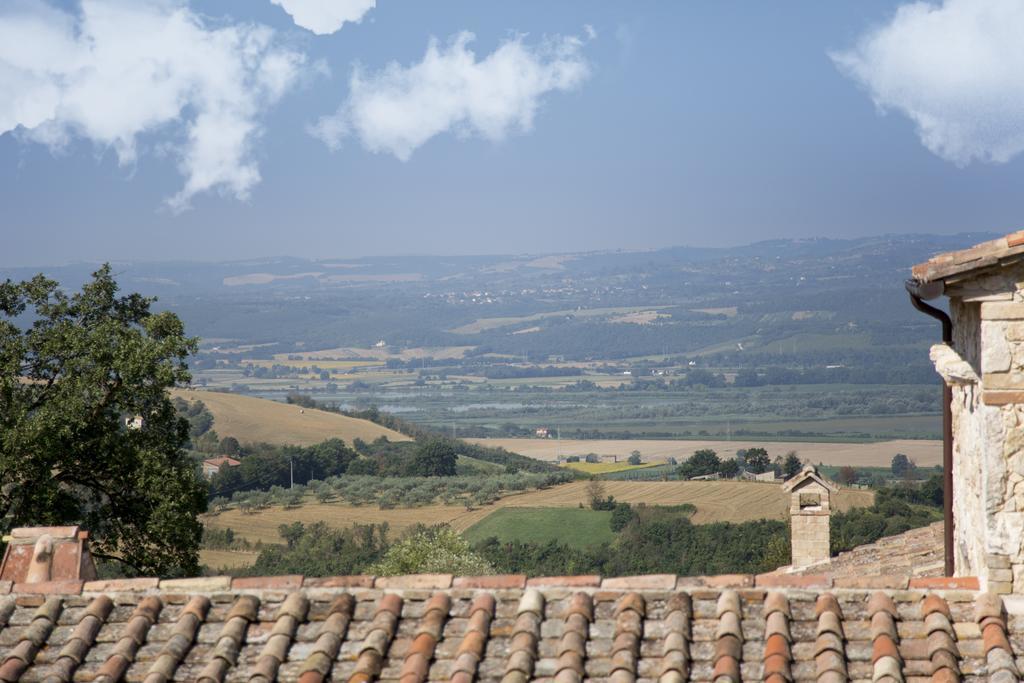Luxury Villa Colle Dell'Asinello ,Proprietari ,Villa In Esclusiva Near Orvieto 구아르데아 외부 사진