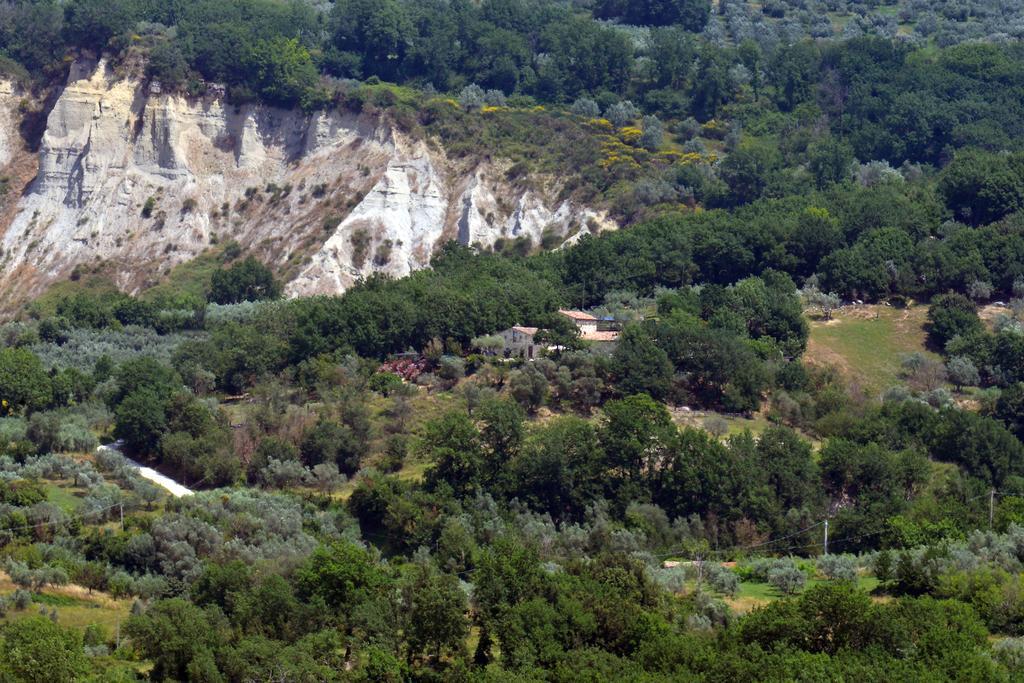 Luxury Villa Colle Dell'Asinello ,Proprietari ,Villa In Esclusiva Near Orvieto 구아르데아 외부 사진